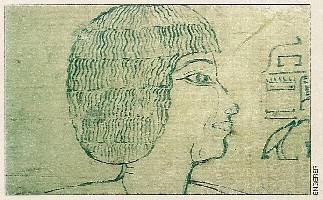 Tombe de Senmout, portrait